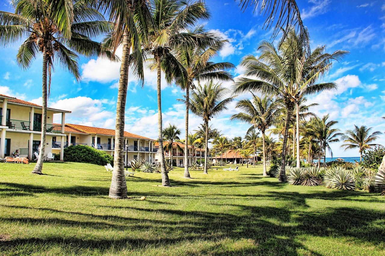 Palm trees and a grassy resort lawn with white sun loungers beside low-rise holiday apartments near the sea under a blue sky